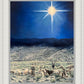 The Shepherds Rejoiced