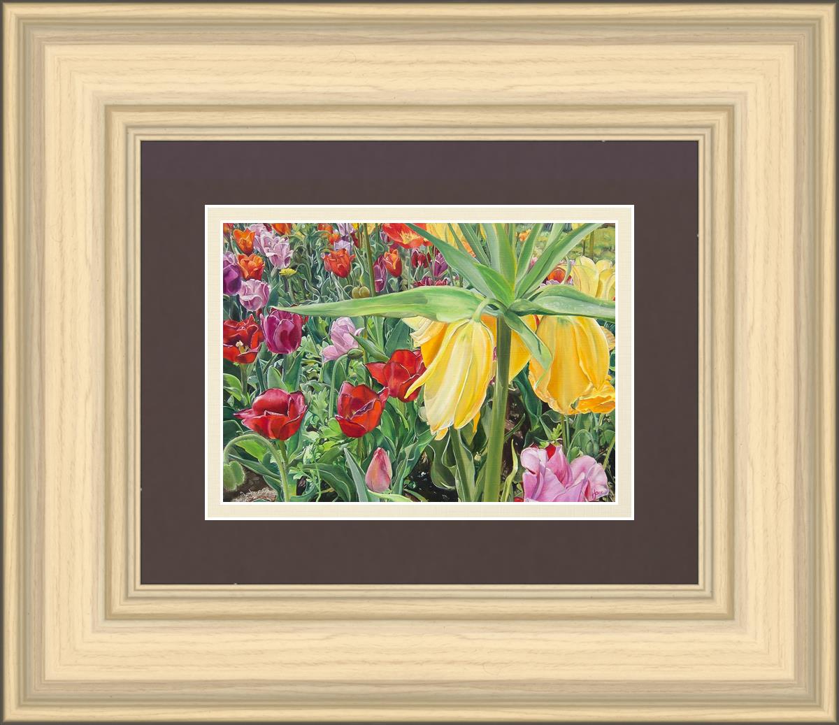 Carousel Tulips