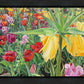 Carousel Tulips