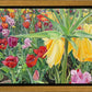 Carousel Tulips