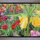 Carousel Tulips