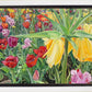 Carousel Tulips