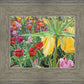 Carousel Tulips