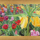 Carousel Tulips