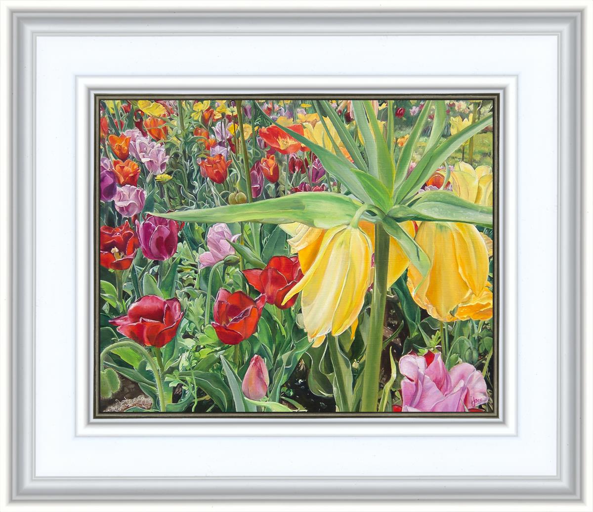 Carousel Tulips