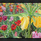 Carousel Tulips