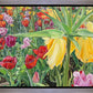 Carousel Tulips