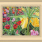 Carousel Tulips