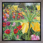 Carousel Tulips