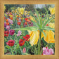 Carousel Tulips