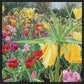 Carousel Tulips