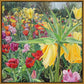 Carousel Tulips