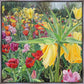 Carousel Tulips