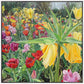 Carousel Tulips