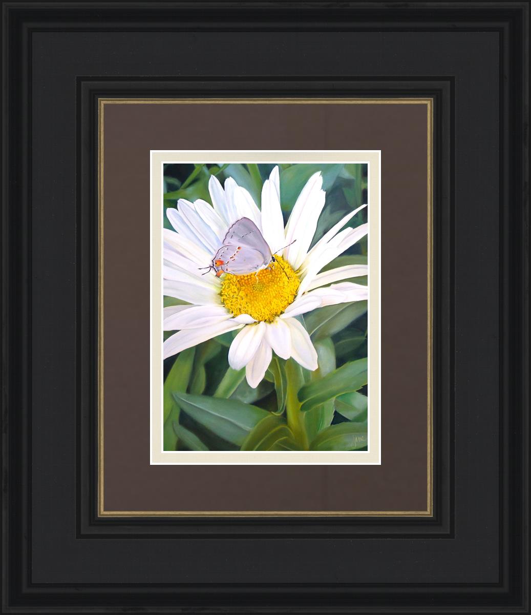 The Daisy and The Butterfly