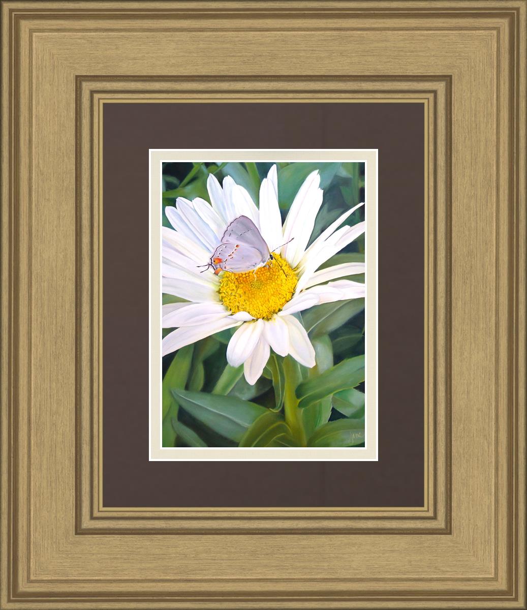The Daisy and The Butterfly