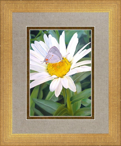 The Daisy and The Butterfly