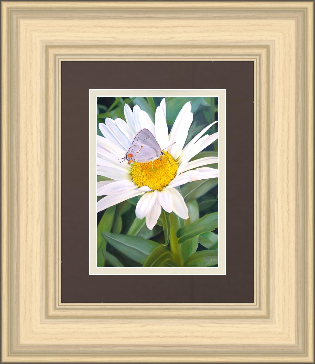 The Daisy and The Butterfly
