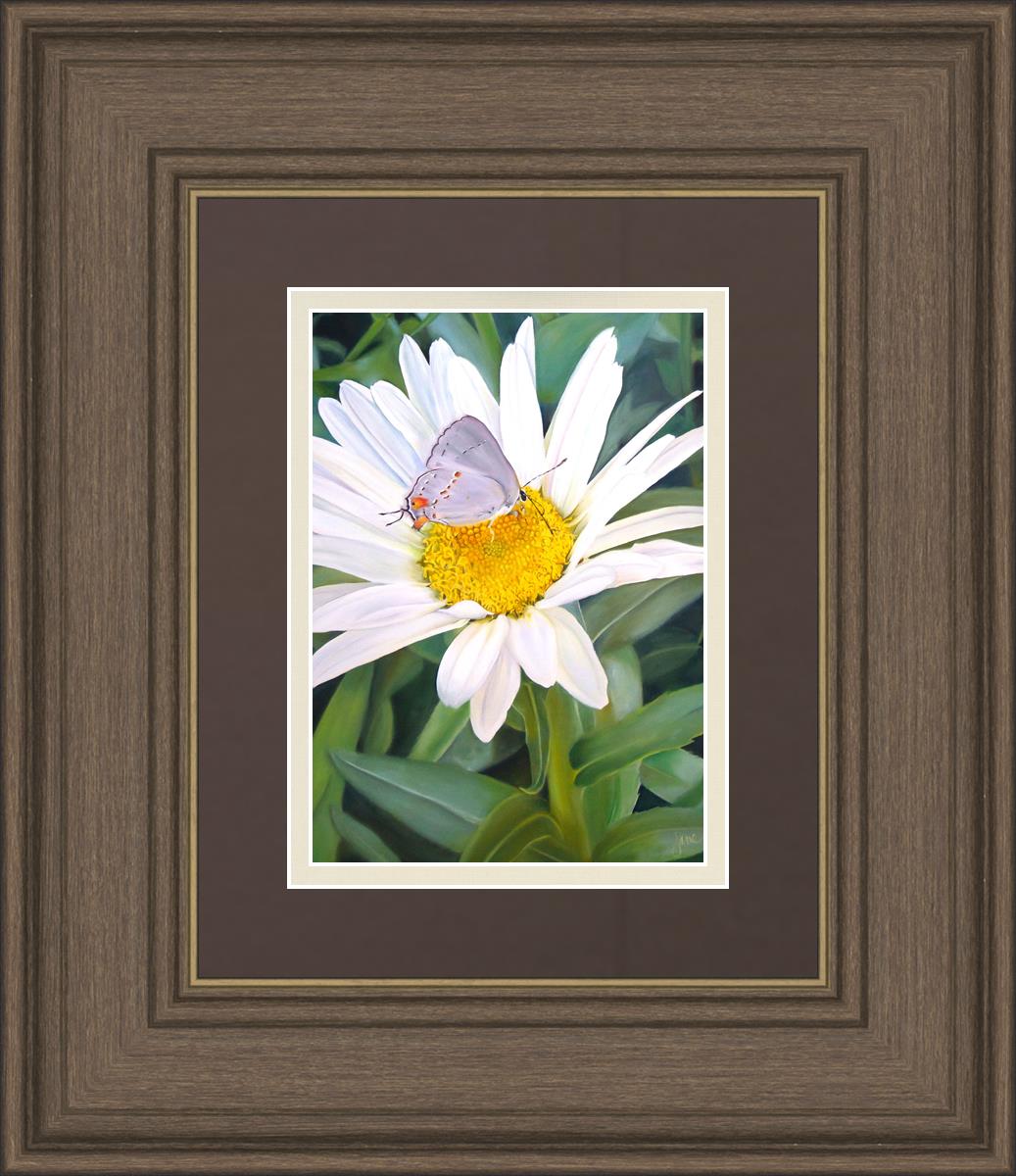 The Daisy and The Butterfly