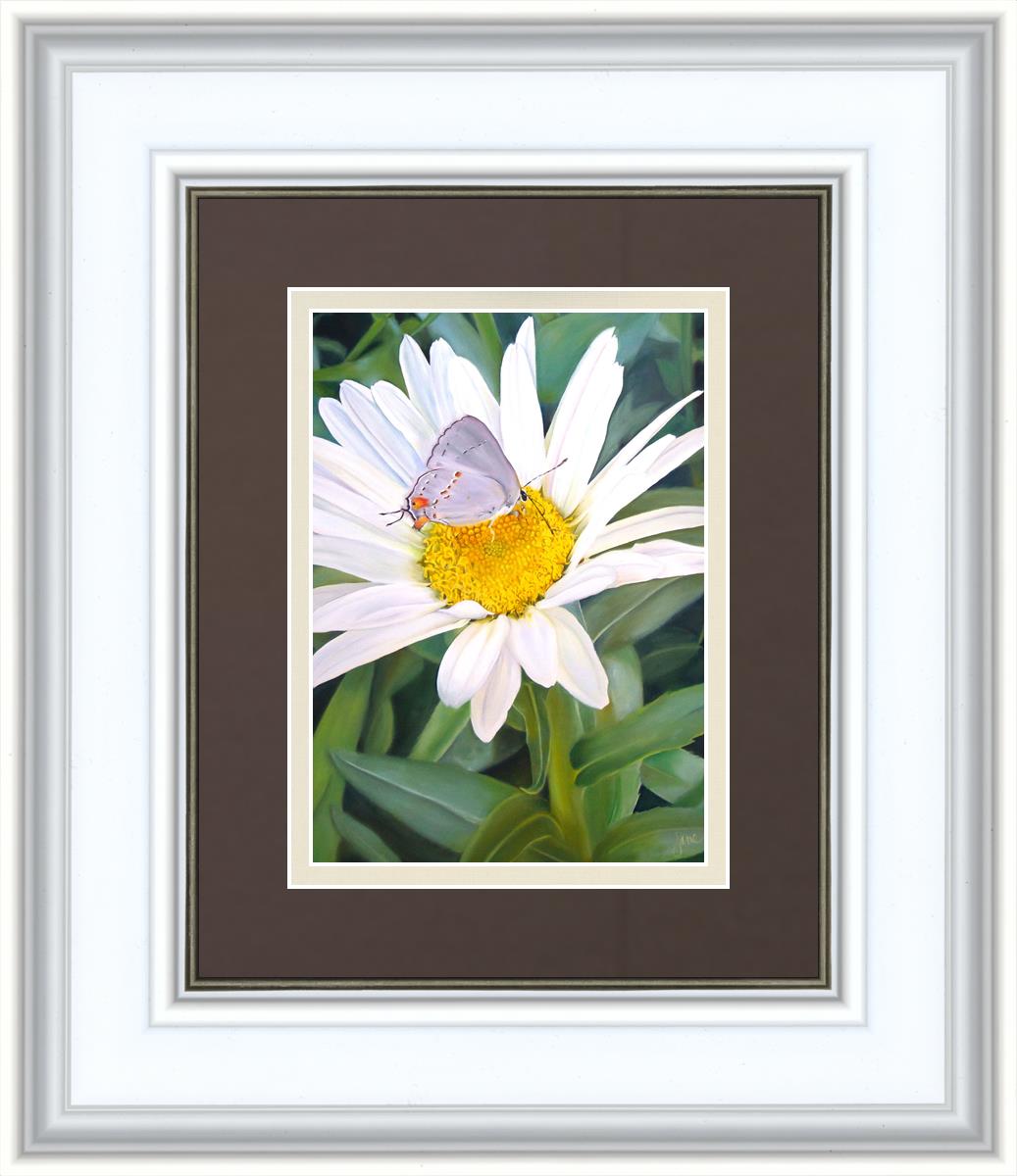 The Daisy and The Butterfly