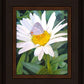 The Daisy and The Butterfly