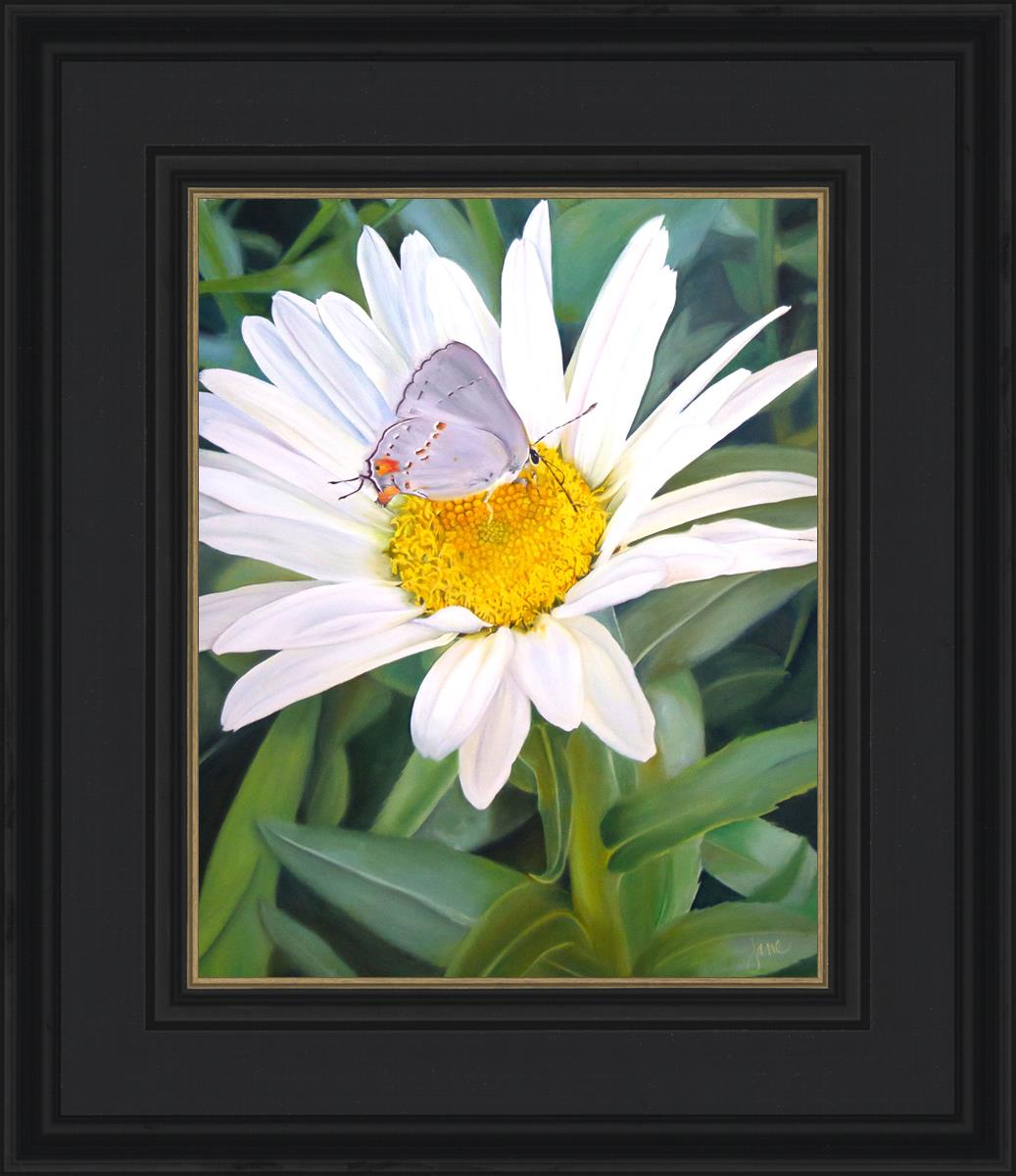 The Daisy and The Butterfly