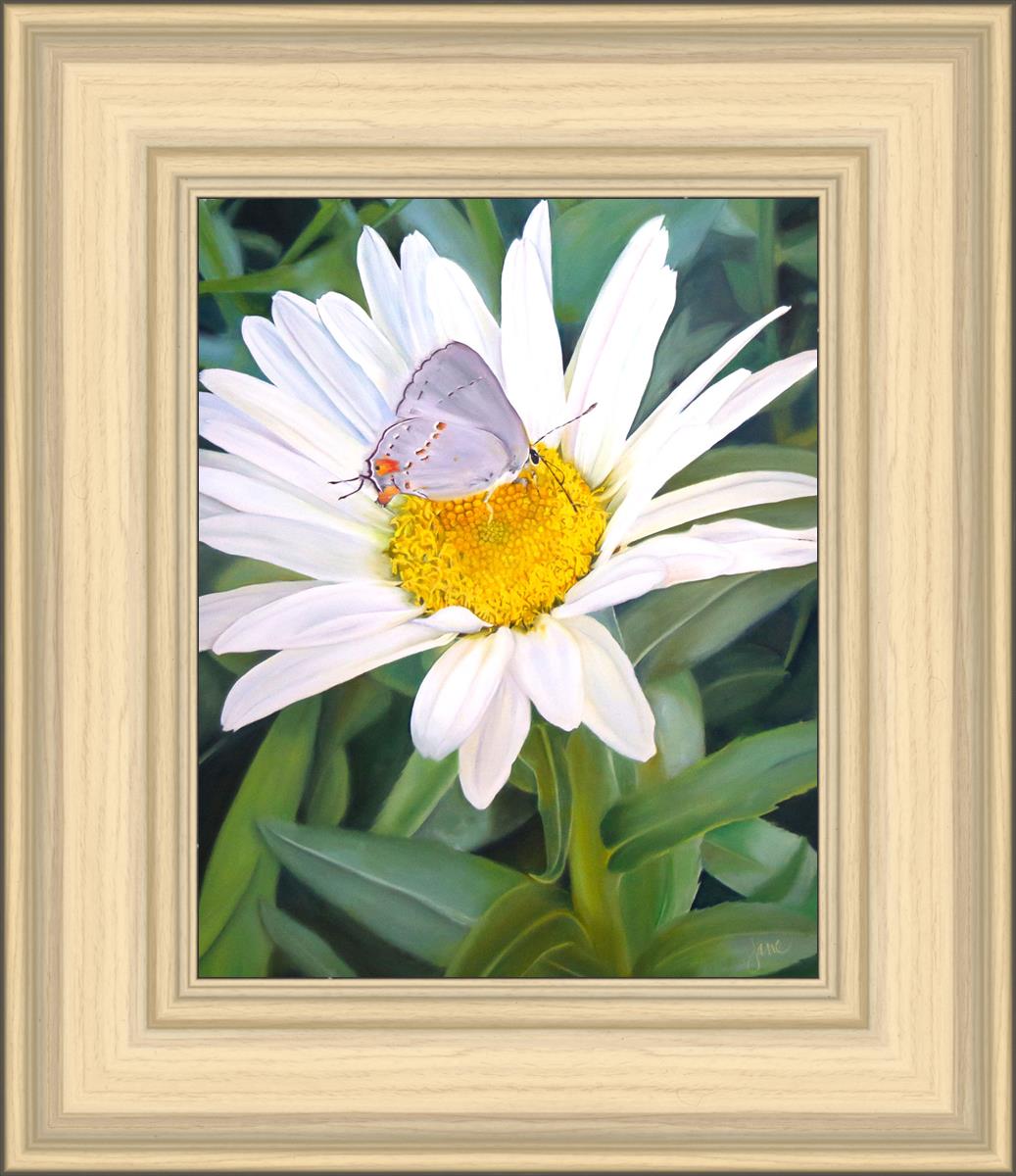 The Daisy and The Butterfly
