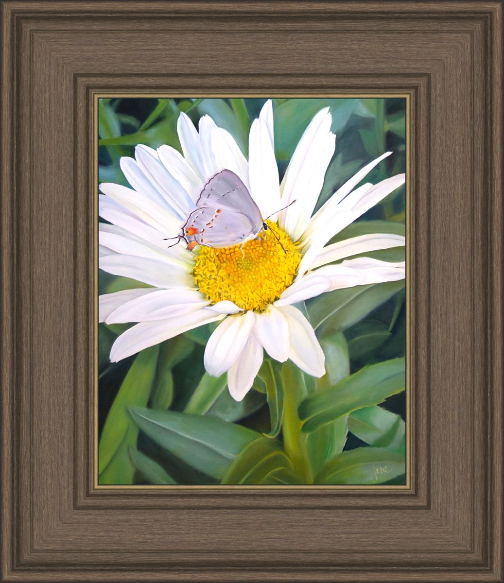 The Daisy and The Butterfly
