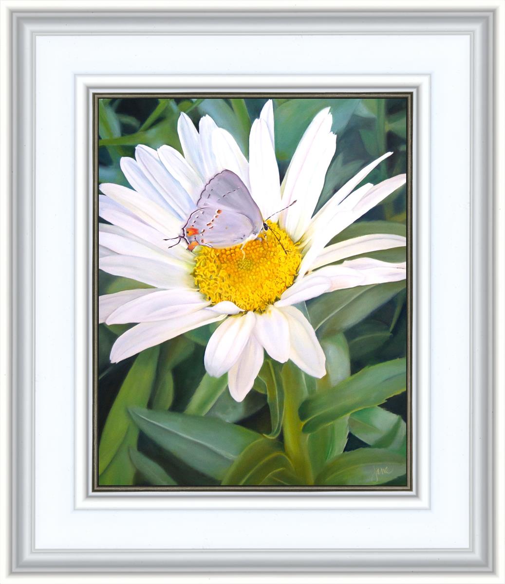The Daisy and The Butterfly