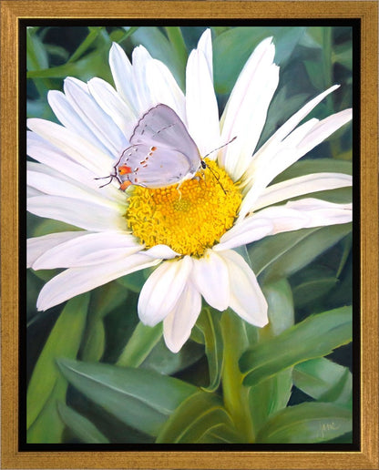 The Daisy and The Butterfly