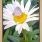 The Daisy and The Butterfly