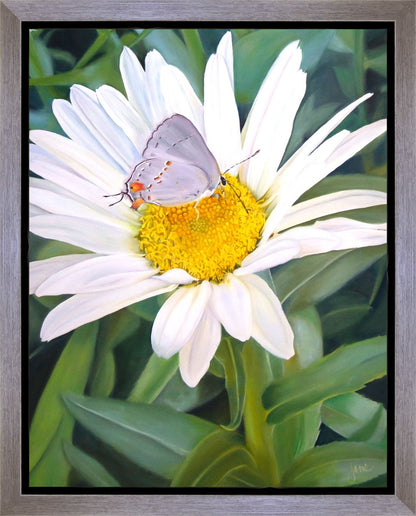 The Daisy and The Butterfly