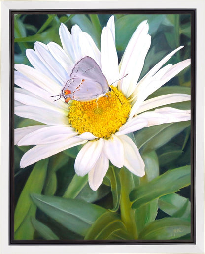 The Daisy and The Butterfly