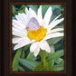 The Daisy and The Butterfly