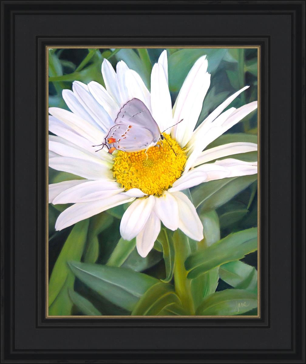 The Daisy and The Butterfly