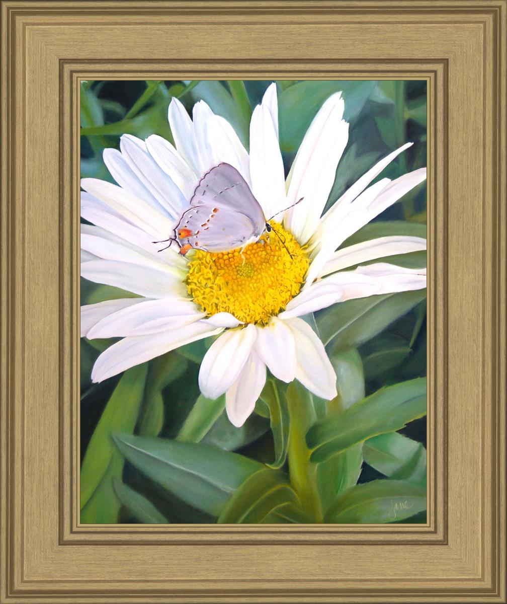 The Daisy and The Butterfly