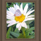 The Daisy and The Butterfly