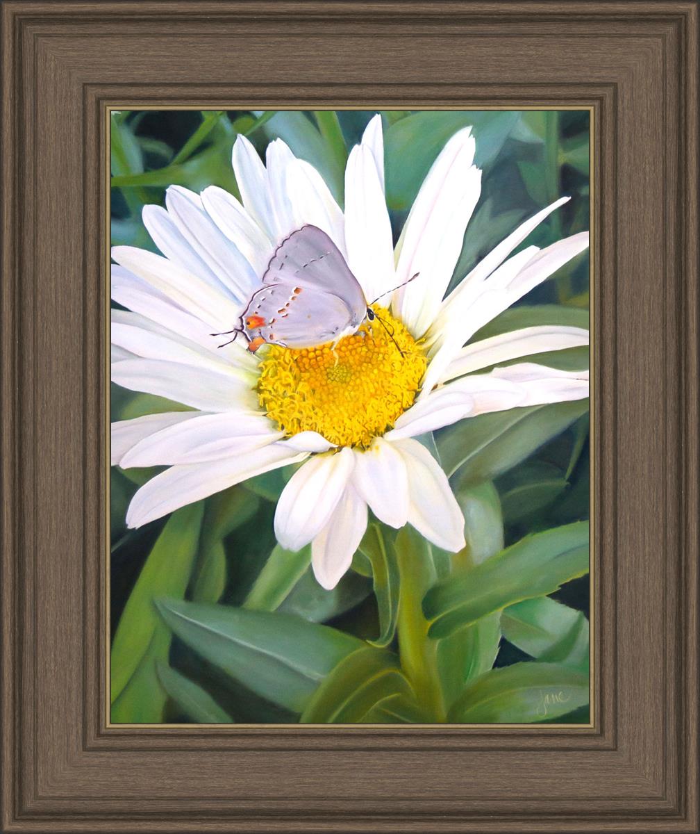 The Daisy and The Butterfly