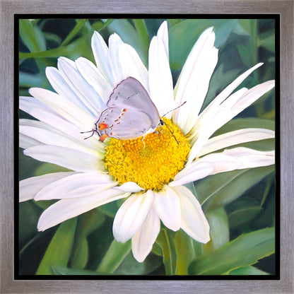 The Daisy and The Butterfly