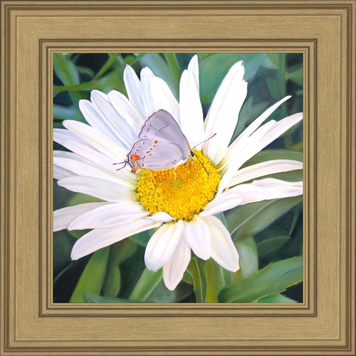 The Daisy and The Butterfly