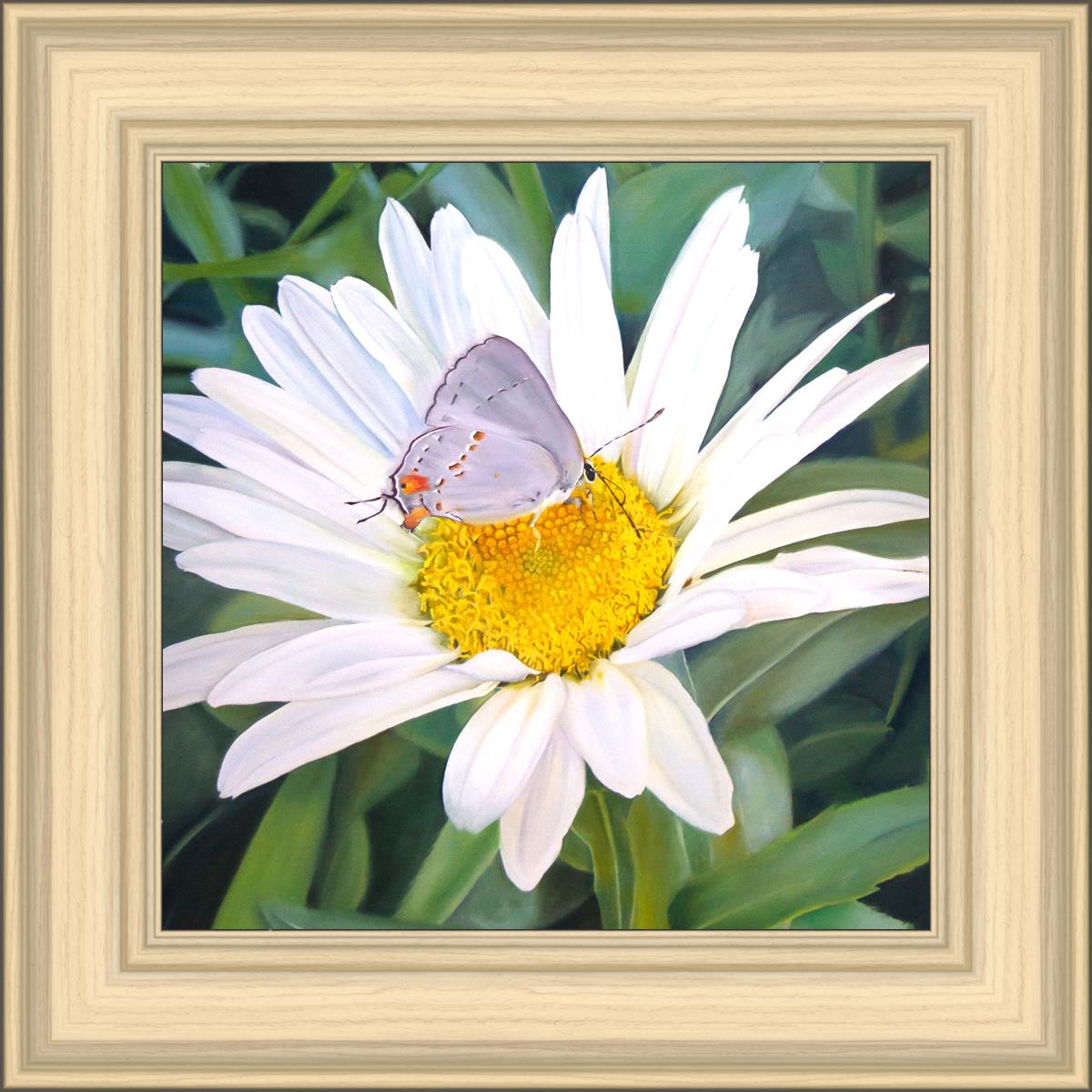 The Daisy and The Butterfly