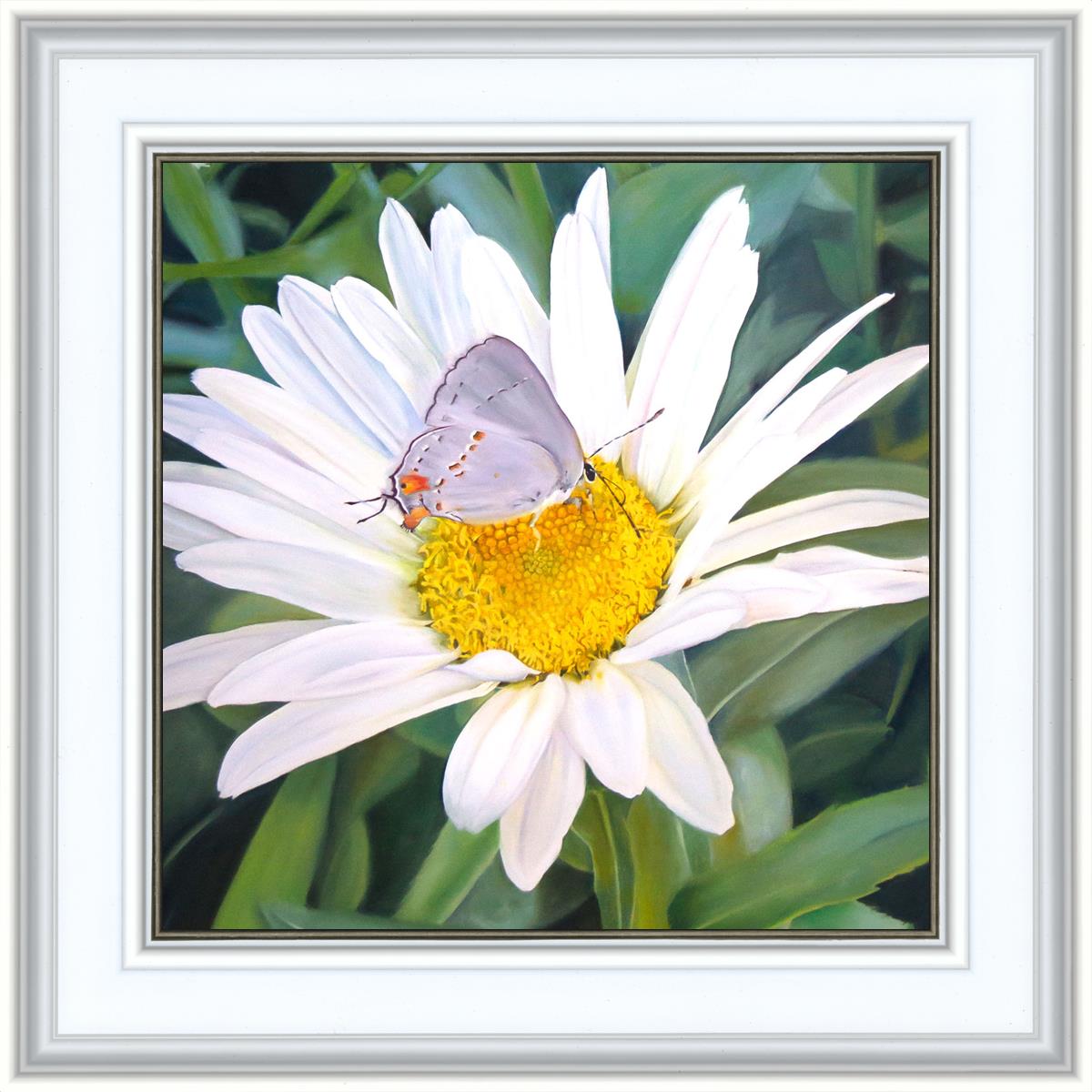 The Daisy and The Butterfly