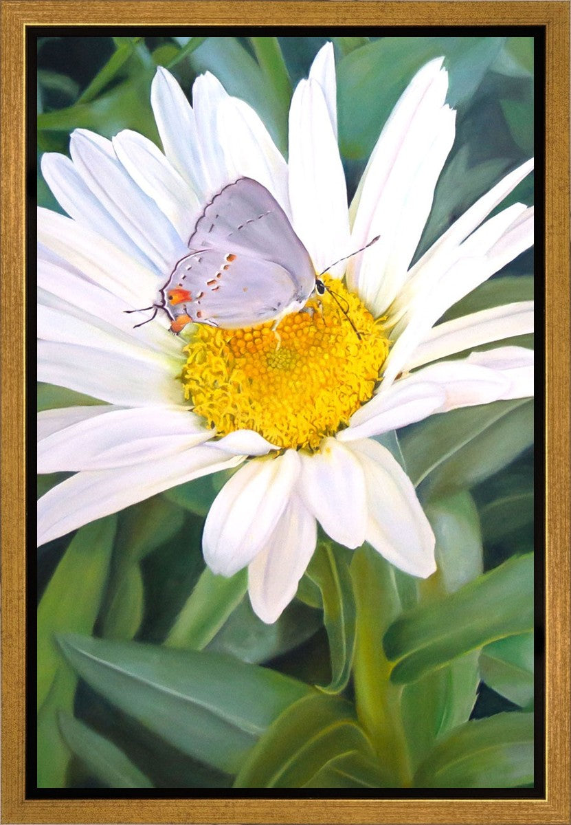 The Daisy and The Butterfly