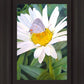 The Daisy and The Butterfly