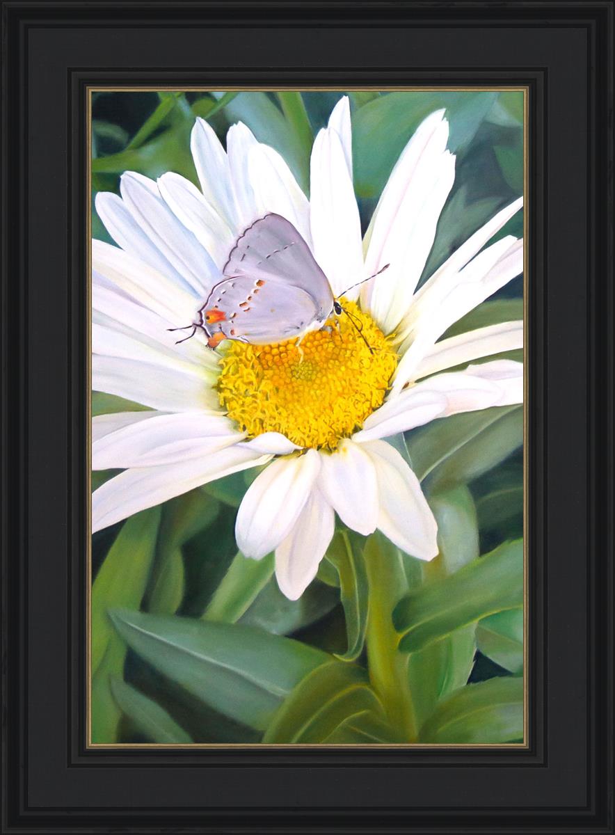 The Daisy and The Butterfly