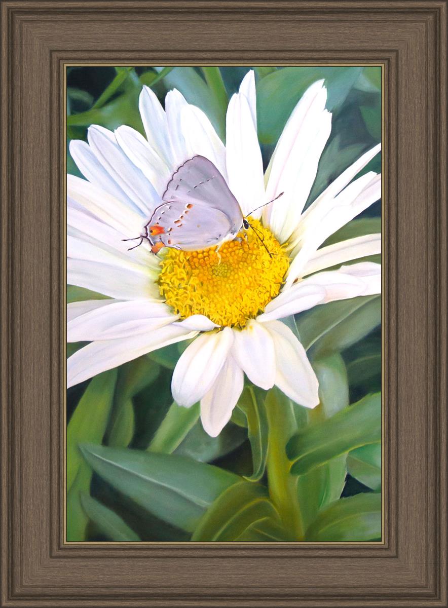 The Daisy and The Butterfly