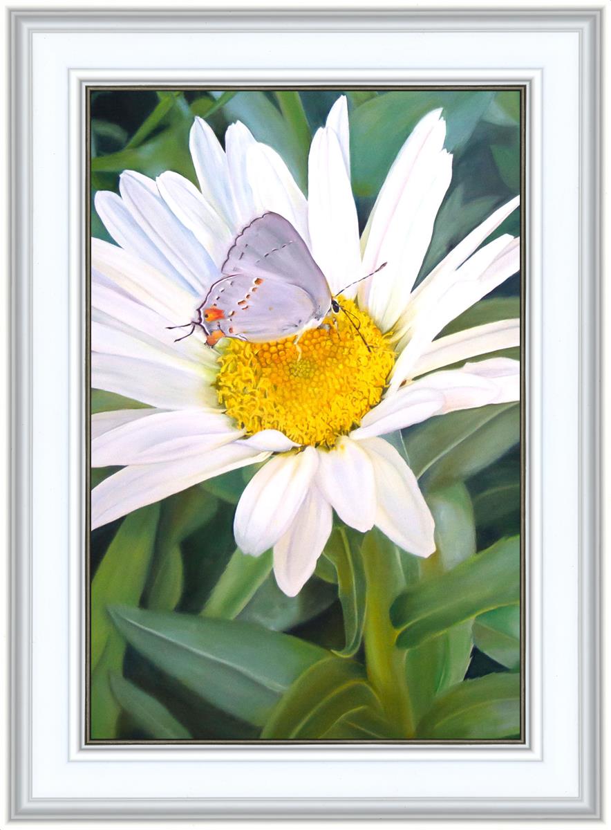 The Daisy and The Butterfly