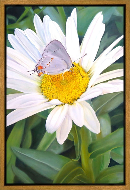 The Daisy and The Butterfly