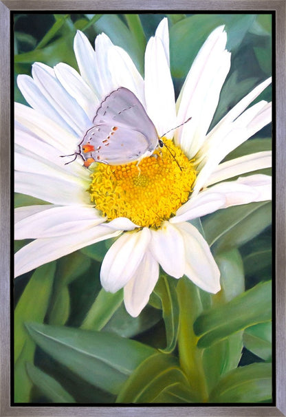 The Daisy and The Butterfly