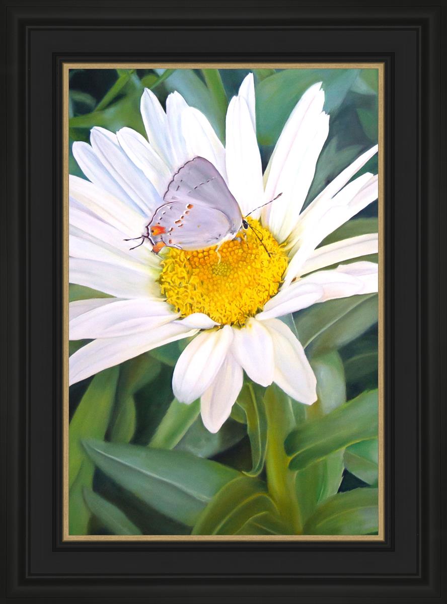 The Daisy and The Butterfly